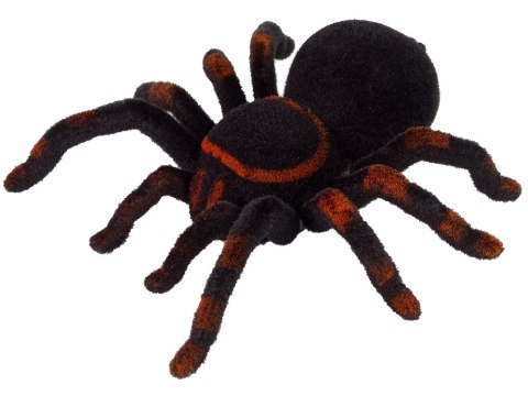 Zdalnie Sterowany Pająk Tarantula Czarny R/C LEAN Toys