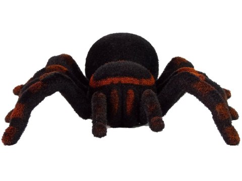 Zdalnie Sterowany Pająk Tarantula Czarny R/C LEAN Toys