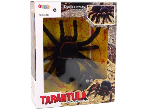 Zdalnie Sterowany Pająk Tarantula Czarny R/C LEAN Toys