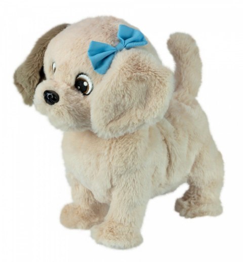 Maskotka interaktywna Puppy Luv Piesek Labrador Meggy Tm Toys