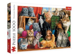 Puzzle 1000 el. Kocie Spotkanie Trefl 10555 Trefl Puzzle