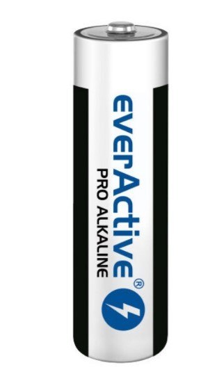 Bateria everActive Pro Alkaline LR03 AAA 10 szt. Baltrade Spółka z Ograniczoną Odpowiedzialnością