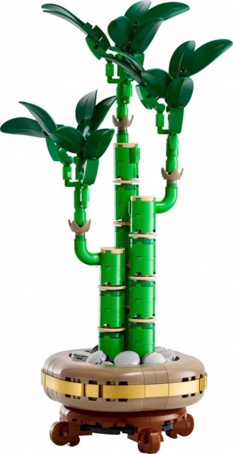 Klocki Botanicals 10344 Dracena sandera LEGO