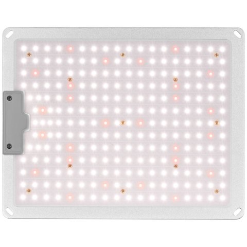 Lampa do uprawy wzrostu roślin pełne spektrum 30 x 24 cm 234 LED 110 W srebrna Hillvert