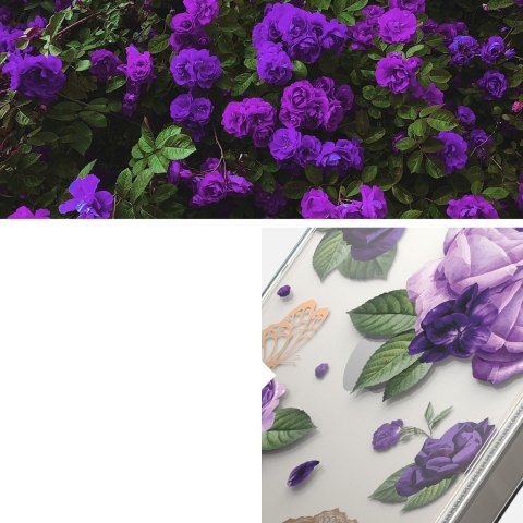 Pancerne etui pokrowiec z żelową ramką iPhone 14 Plus Fusion Design Purple Rose przezroczysty Ringke