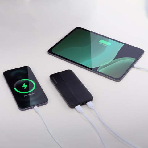 Powerbank Li-Po 10000mAh 2xUSB czarny WOZINSKY