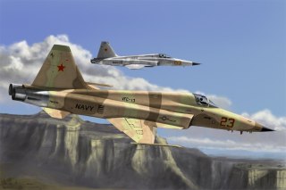 F5E Tiger II Fighter Hobby Boss