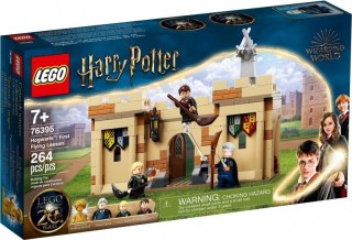 Klocki Harry Potter 76395 Pierwsza lekcja latania LEGO