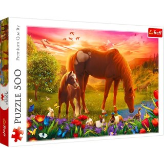 Puzzle 500 elementów Konie na łące Trefl