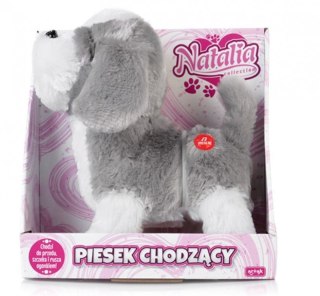 Piesek chodzący Natalia Artyk