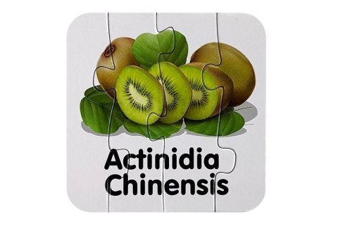 Puzzle Edukacyjne Układanka Owoce 10 Połączeń Nauka Angielskiego LEAN Toys