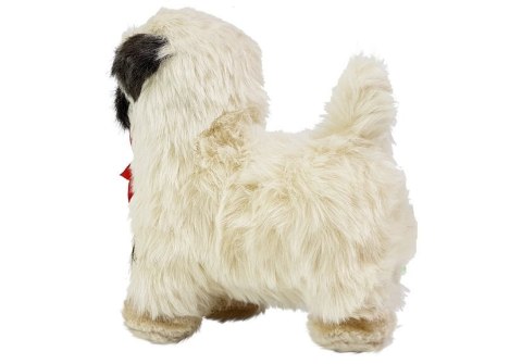 Interaktywny Pies Mops Porusza się, Szczeka LEAN Toys