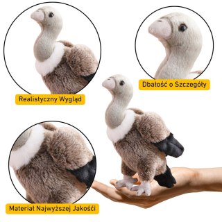 Pluszowy Sęp Ptak Pluszak Maskotka Przytulanka 25cm LEAN Toys