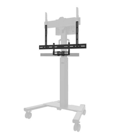 Uchwyt AV2-500BL Neomounts