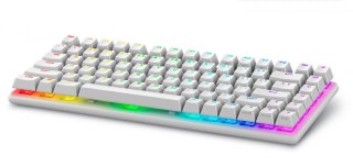 Klawiatura bezprzewodowa Alienware Pro US QWERTY Lunar Light Dell