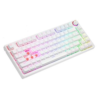 Klawiatura mechaniczna bezprzewodowa PHENIX WHITE Gateron Red Pro, ABS Savio