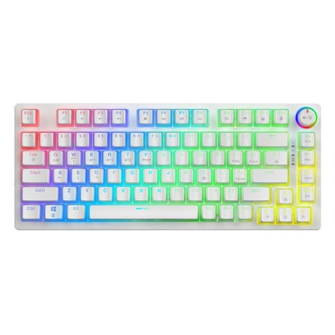 Klawiatura mechaniczna bezprzewodowa SAVIO PHENIX WHITE Gateron Yellow, Pudding Savio