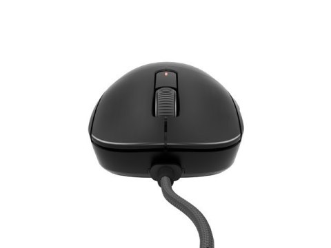 Mysz Fury TANTO T4 RGB 12000DPI gamingowa czarna Natec