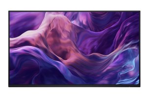 Monitor 23.8 cala P2425H WOST IPS 1920x1080/16:9/DP/HDMI/USBC/VGA/USB/No stand/3Y Dell