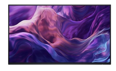 Monitor 23.8 cala P2425H WOST IPS 1920x1080/16:9/DP/HDMI/USBC/VGA/USB/No stand/3Y Dell