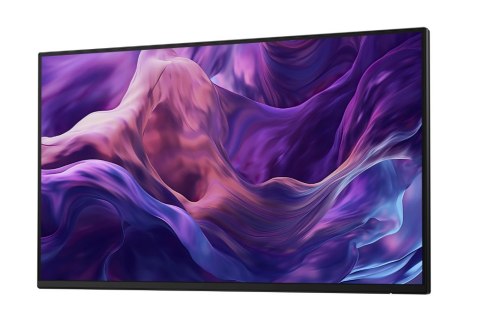 Monitor 23.8 cala P2425H WOST IPS 1920x1080/16:9/DP/HDMI/USBC/VGA/USB/No stand/3Y Dell