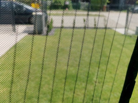 Moskitiera siatka magnetyczna na drzwi 110x220cm CZARNA Kik Sp. z o. o. Sp. k.