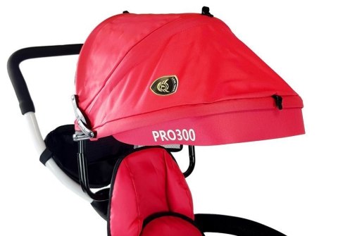 Rower Trójkołowy PRO300 Czerwony LEAN Toys