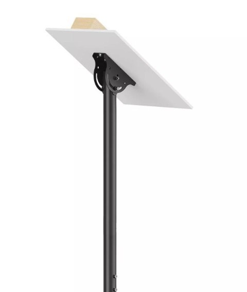 Uchwyt sufitowy CL35-340BL12 23-42 cali Neomounts