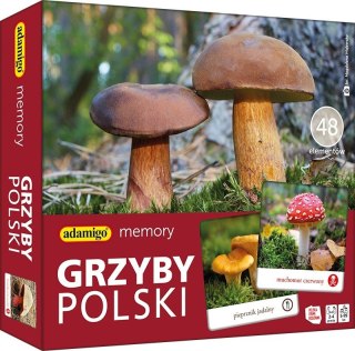 Gra Memory - Grzyby Polski Adamigo