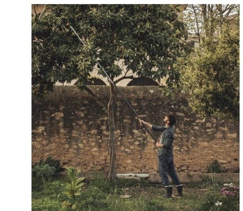 Sekator teleskopowy PowerGear X UPX86 1023624 Fiskars