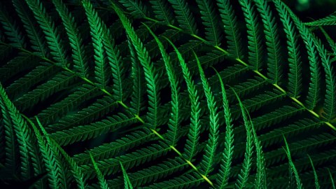 Monitor 23.8 cala 24B2G5200 IPS 100Hz HDMI DP Pivot Głośniki Philips