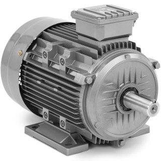 Silnik elektryczny asynchroniczny trójfazowy 2950 obr./min 230/400 V 5.5 kW MSW