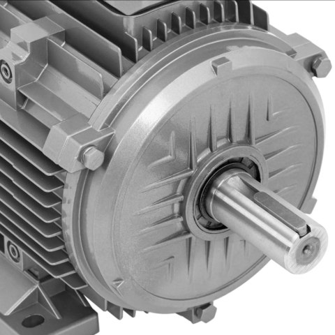 Silnik elektryczny asynchroniczny trójfazowy 2950 obr./min 230/400 V 5.5 kW MSW