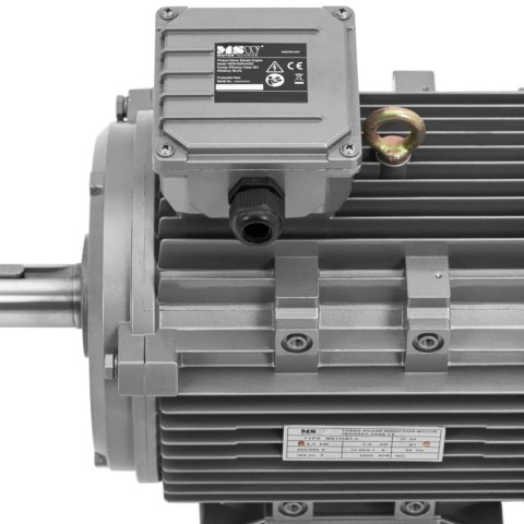 Silnik elektryczny asynchroniczny trójfazowy 2950 obr./min 230/400 V 5.5 kW MSW