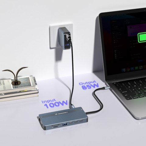 14w1 HUB do 3 monitorów USB-A USB-C DisplayPort HDMI RJ45 SD TF mini jack - szary WOZINSKY