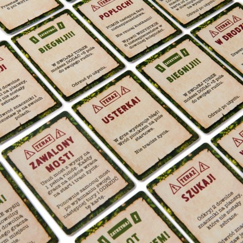 Gra Jumanji Popłoch Spin Master