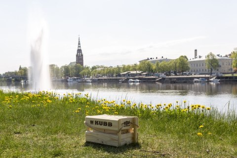 Gra Kubb w kartonowym opakowaniu Tactic