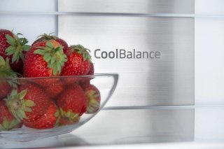 Chłodziarko-zamrażarka BK3055.6NFM(E) Amica