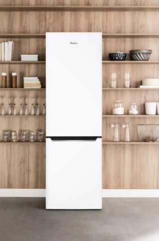 Chłodziarko-zamrażarka FK2995.2FT(E) Amica