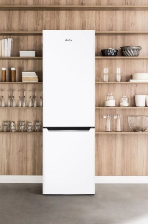Chłodziarko-zamrażarka FK2995.2FT(E) Amica