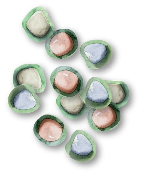 Gra Pachnący Ogród Rebel