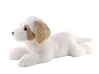 Maskotka Pies hawańczyk leżący 60 cm Madej