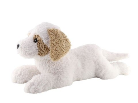 Maskotka Pies hawańczyk leżący 60 cm Madej