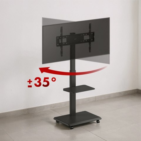 Stand dla TV, ER-304B Ergo Office