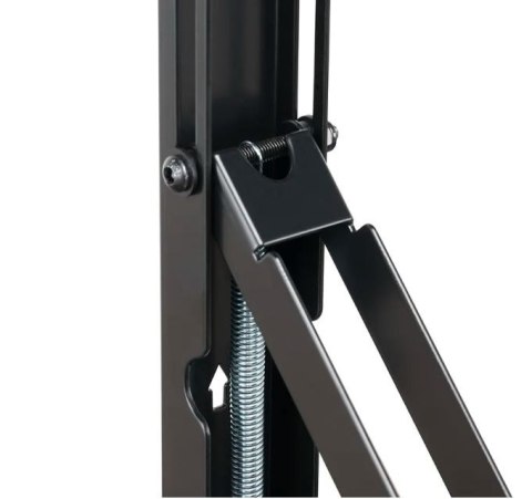 Uchwyt ścienny WL95-800BL1 POP 42-70 cali Neomounts