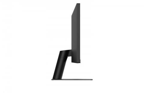 Monitor 29U511A-B 29 cali IPS UltraWide 21:9 WFHD LG Electronics