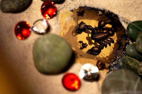 Gra Diamenty wersja 1.5 Portal Games