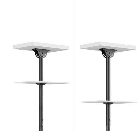 Uchwyt do TV/LCD CL35-340BL22 23-42 cale 45kg Neomounts