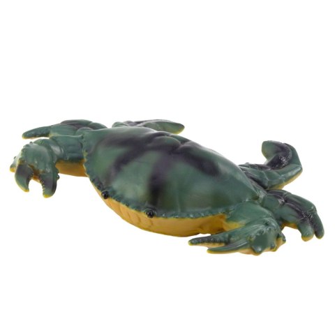 Zestaw Figurki Zwierzęta Morskie Krab Rozgwiazda Kałamarnica Amonit 5szt. LEAN Toys