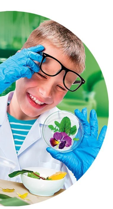 Zestaw Naukowa Zabawa Super Mikroskop Język Polski Clementoni 50755 Clementoni